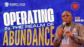 Operating In The Realm of Abundance  Pastor David Ojo  Christ Love International Church [upl. by Hgielra]