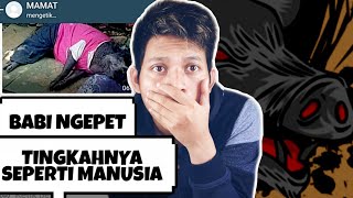 BABI NGEPET TINGKAHNYA SEPERTI MANUSIA😱  Babi Ngepet Part 5  Chat Story Horror TERSERAM [upl. by Noval725]