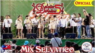 Deleites Andinos  Mix Selvatico  En Vivo  Navarro Producciones  ᴴᴰ ✓ [upl. by Apfelstadt]