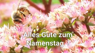 Alles Gute zum Namenstag [upl. by Feeney854]