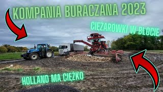 🔥CIĘŻKI ODBIÓR BURAKÓW CUKROWYCH 2023🔥 Kompania Buraczana 2023 z firmą agrokępa [upl. by Donatelli960]