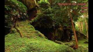 Jethro Tull Cover Bungle in the Jungle【Ashe】 [upl. by Ginsburg]