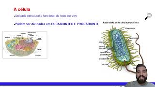 Curso de Bacteriologia aula 02 Célula procarionte [upl. by Dinsdale]