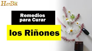 Remedios para Curar los Riñones de Forma Natural │Naturismo Herbol [upl. by Ivie268]