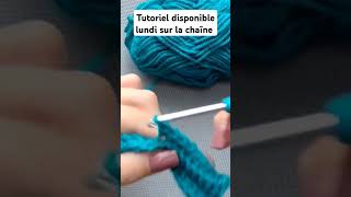 Mitaines mixtes en toutes tailles adapté aux débutantes crochet tutoriel [upl. by Noivad]