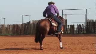 Reiner vs Cow Horse [upl. by Aleunam]