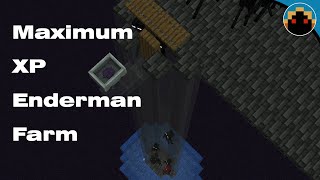 Enderman Farm for 1204  Maximum XP Rates [upl. by Adla]