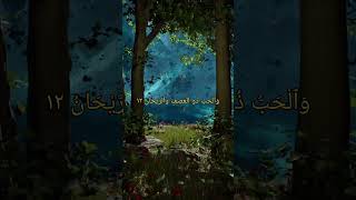 Best tilawate Quran short ytshort yutubeshorts pakistan india [upl. by Lynde]