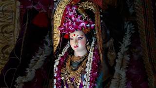 Navdurga Mitra Mandal Ashtami Home 2024 devi love ashtami navdurga navratri [upl. by Jamnes]