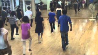 Long Time Gone  Line Dance Demo amp Walk Through [upl. by Drucy]