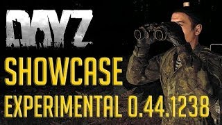 DayZ Experimental  0441238 Showcase  Crossbow  Binoculars  Physics [upl. by Priscella]