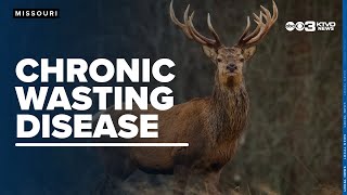 Chronic Wasting Disease in Missouri MDC official weighs in [upl. by Kyl]