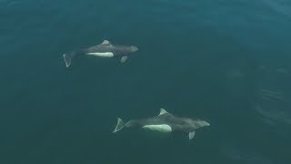 Cruising British Columbias Broughton Islands aboard our trawler Sea Venture EP 6 [upl. by Haile]