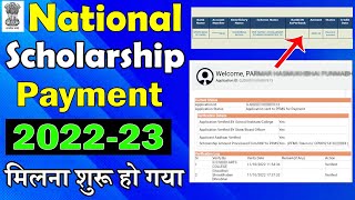 National Scholarship Payment New Update 202223  Check NSP Payment Status PFMS Payment Success [upl. by Tnilk673]