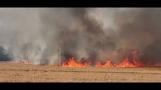 Wheat Farm Caught on Fire in Hillsboro Oregon [upl. by Akyre126]