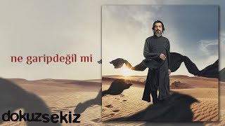 İsmail Tunçbilek  Ne Garip Değil Mi Official Audio [upl. by Nichy]