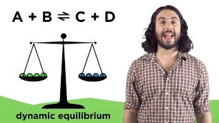 Chemical Equilibria and Reaction Quotients [upl. by Winer]