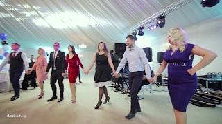 LIVE BOTEZ 2018 Olguta Berbec Remus Novac si formatia Banat Express [upl. by Gnouhp]