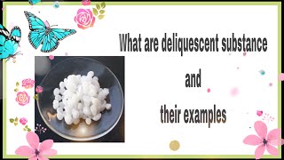 What are deliquescent substance and their examples [upl. by Bellaude478]