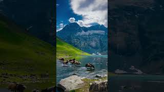 India most beautiful lake in Kashmir Gangbal lake kashmir lake viralvideos water travel [upl. by Awahsoj]