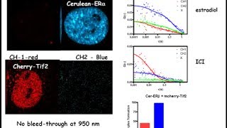 NMR spectroscopy part 1 [upl. by Seadon]