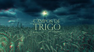 Campos De Trigo  Devaneios [upl. by Zerk392]