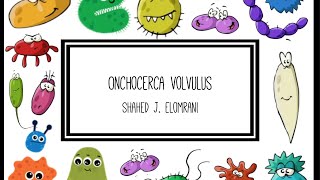 Onchocerca Volvulus [upl. by Araid83]