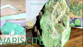 VARISCITE  OLD STOCK EXTINCT GEMSTONE Lucin Utah Rarest Types Rockhounding Crystals Lapidary [upl. by Rednasela]