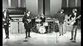 Top 5 Bands Of The 60s Classic Rock [upl. by Enywad359]