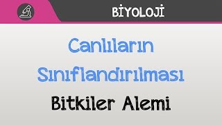 Canlıların Sınıflandırılması  Bitkiler Alemi [upl. by Iarahs]