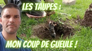 Adieu Taupes  mon coup de gueule  Comment les Éliminer de Votre Jardin  les résultats [upl. by Eibrab]