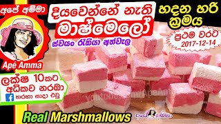 ✔ දියවෙන්නේ නැති මාෂ්මෙලෝ හදන හරි ක්‍රමය Soft Real Marshmallows English sub by Apé Amma [upl. by Shandeigh]