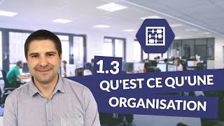 Chapitre 1  Quest ce quune organisation 33  Management Bac STMG  digiSchool [upl. by Wasserman467]