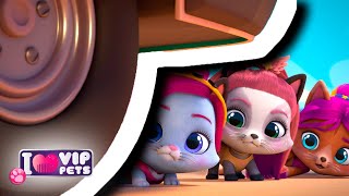 Enjoying Time Together  VIP PETS 🌈 Full Episodes  Cartoons for Kids in English  Long Video [upl. by Gustaf]