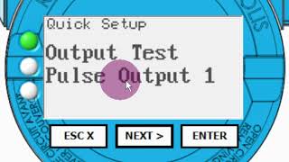 Rheonik Coriolis Mass Flow – Output Test Function Tutorial 38 [upl. by Noraed]