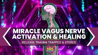 Miracle Vagus Nerve Activation amp Healing  Release Trauma Trapped amp Stored In The Body  Delta Waves [upl. by Lohcin]