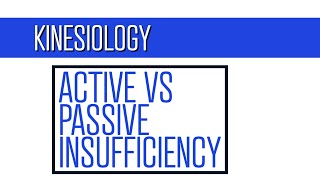 What is Active vs Passive Insufficiency Must Know Concept for Physical Therapy School [upl. by Ispep]