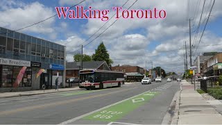 Walking Royal York Road in Etobicoke Torontos Mimico Neighbourhood 7132023 [upl. by Irej788]