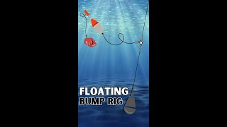 Tips for Floating Bump Rigs [upl. by Ajuna]