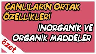 Canlıların Ortak Özellikleri  İnorganik ve Organik Maddeler Özet  TYT Biyoloji [upl. by Seyah99]