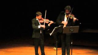 JHaydn Violin Duet in B Flat Major op99 1st movement [upl. by Goetz260]