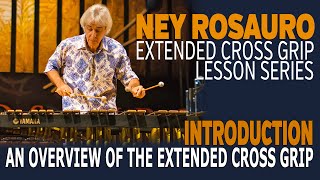 Ney Rosaro Extended Grip Lessons  Overview [upl. by Ativ]