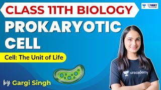 Prokaryotic Cell  Cell The Unit of life  NEET 20232024  Dr Gargi Singh [upl. by Arvid]