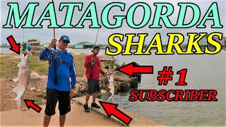 Matagorda SHARK Fishing for REDS  Pier Fishing with 1 SUBSCRIBER  Beach AND River Fishing [upl. by Aicirtan774]