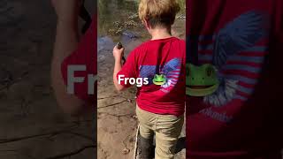 Catching frog 🐸 legs goneoutdoors findingpeaceinthegreatoutdoors fishing outdoors [upl. by Imugem]