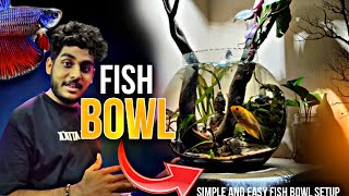 How To Set Up A FISHBOWL The RIGHT Way  Setup Fish Bowl  Planted Fish Bowl Setup [upl. by Styles]