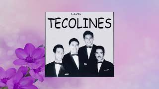 Los Tecolines Cerezo Rosa [upl. by Oakleil913]