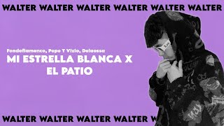 Mi Estrella Blanca X El Patio Walter Mashup  Fondoflamenco Pepe Y Vizio Delaossa [upl. by Shayn]