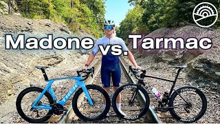 Trek Madone Gen 7 vs Specialized Tarmac SL8 [upl. by Levania]