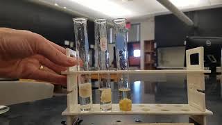 Lab 14 Enzyme activity experiment [upl. by Cecil]